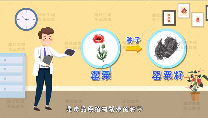 专业禁毒设备生产厂家的禁毒产品