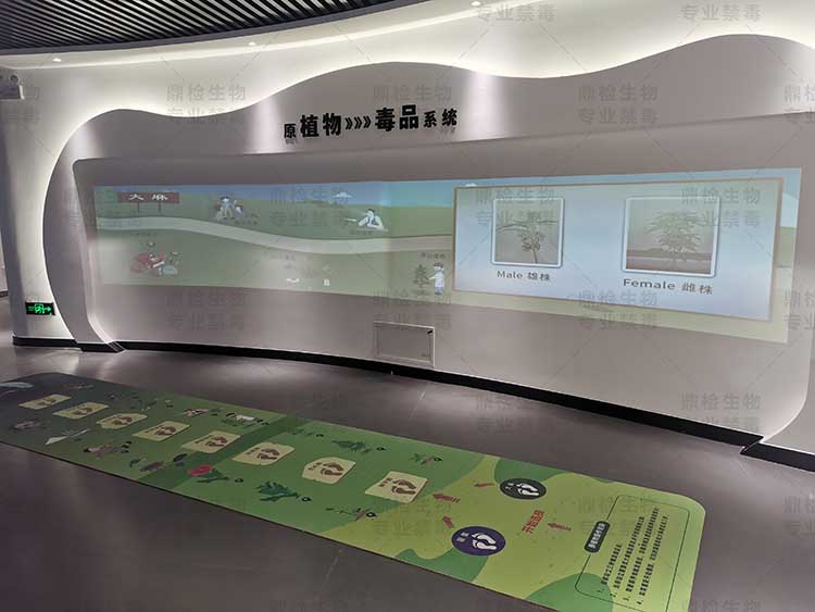 巧用禁毒多媒体设备，打造高科技禁毒展馆