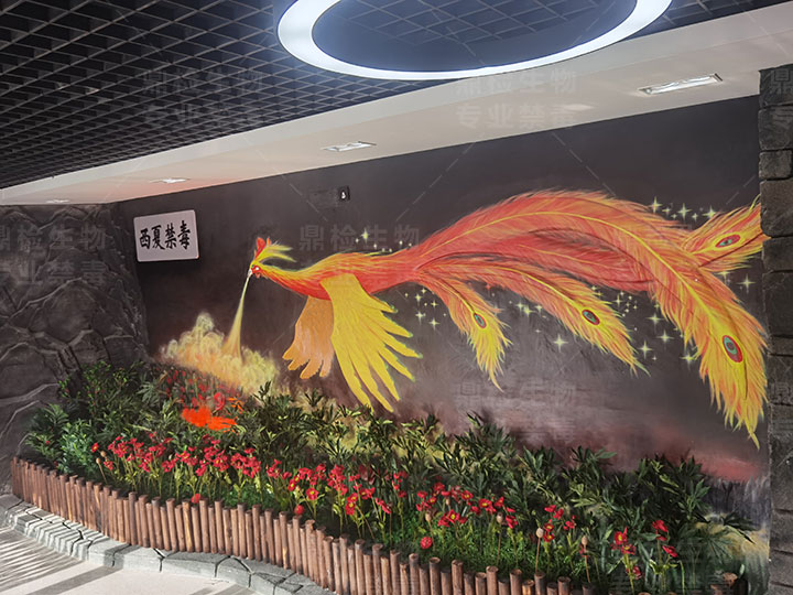 高端的禁毒教育基地展厅设计