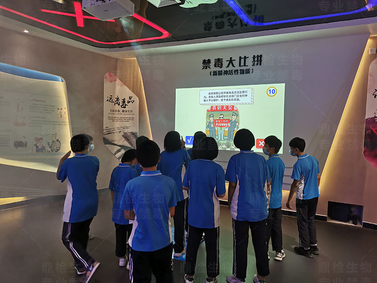 互动展项