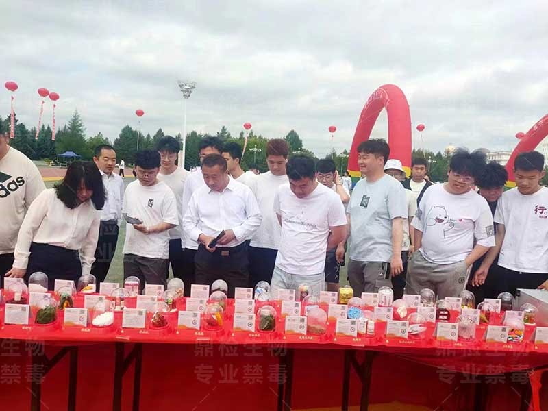 项目效益与评估